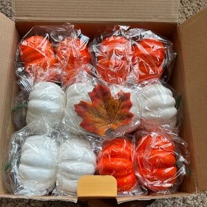 🎃 Pumpkin Set 🎃